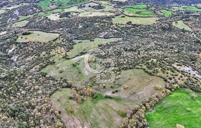 LAPSEKİDE KIRCALARDA İÇİNDE KULÜBESİ OLAN 29.544M² ARAZİ