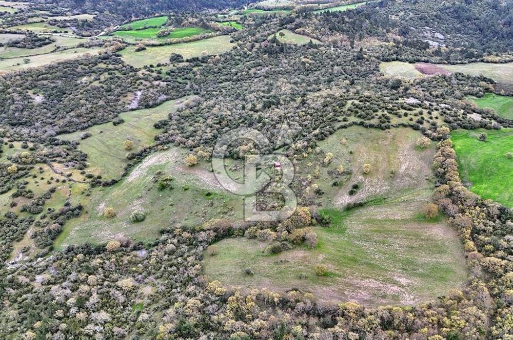 LAPSEKİDE KIRCALARDA İÇİNDE KULÜBESİ OLAN 29.544M² ARAZİ