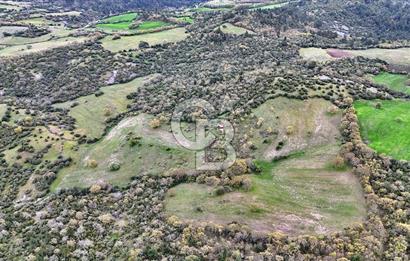 LAPSEKİDE KIRCALARDA İÇİNDE KULÜBESİ OLAN 29.544M² ARAZİ