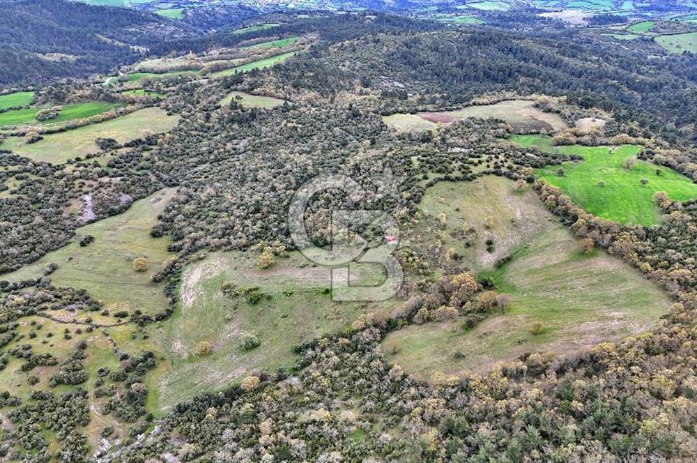 LAPSEKİDE KIRCALARDA İÇİNDE KULÜBESİ OLAN 29.544M² ARAZİ
