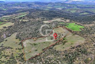 LAPSEKİDE KIRCALARDA İÇİNDE KULÜBESİ OLAN 29.544M² ARAZİ