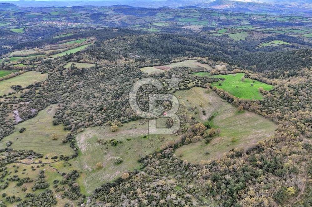 LAPSEKİDE KIRCALARDA İÇİNDE KULÜBESİ OLAN 29.544M² ARAZİ