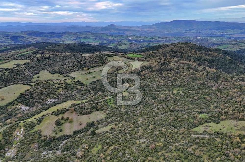 LAPSEKİDE KIRCALARDA İÇİNDE KULÜBESİ OLAN 29.544M² ARAZİ