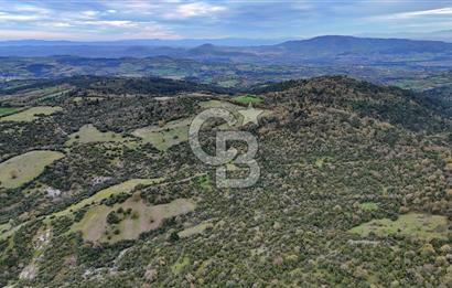 LAPSEKİDE KIRCALARDA İÇİNDE KULÜBESİ OLAN 29.544M² ARAZİ