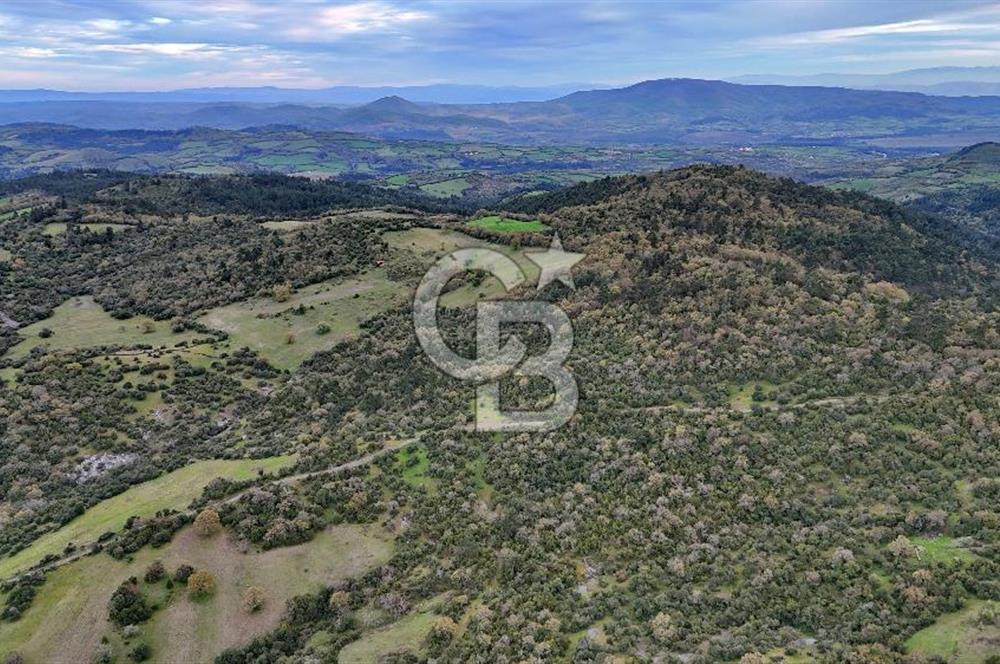 LAPSEKİDE KIRCALARDA İÇİNDE KULÜBESİ OLAN 29.544M² ARAZİ