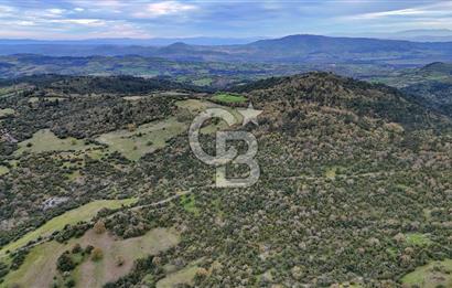 LAPSEKİDE KIRCALARDA İÇİNDE KULÜBESİ OLAN 29.544M² ARAZİ