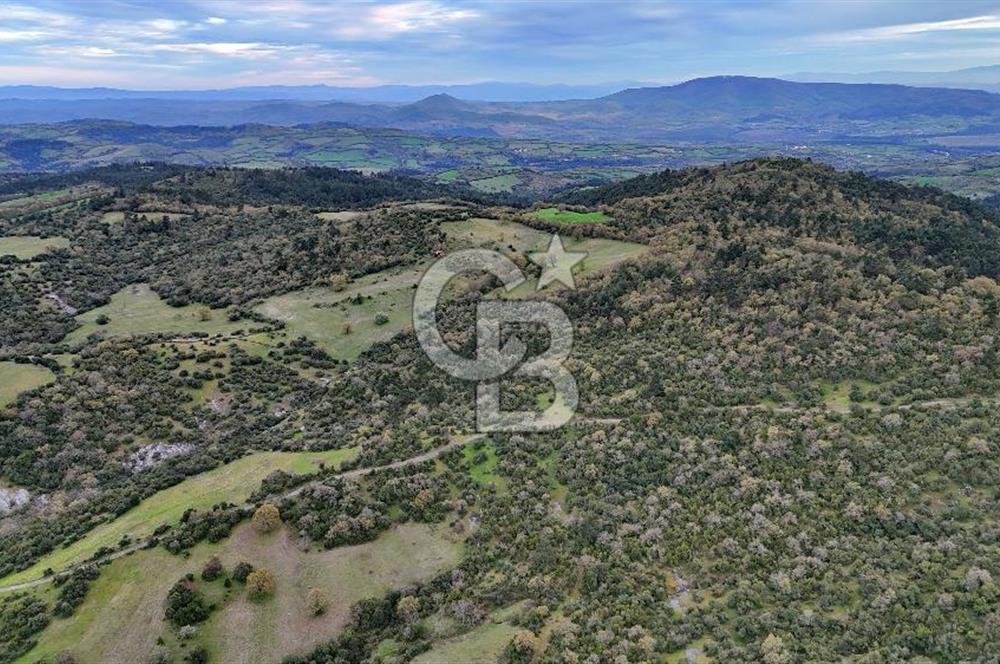 LAPSEKİDE KIRCALARDA İÇİNDE KULÜBESİ OLAN 29.544M² ARAZİ
