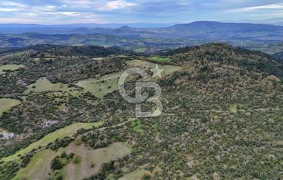 LAPSEKİDE KIRCALARDA İÇİNDE KULÜBESİ OLAN 29.544M² ARAZİ