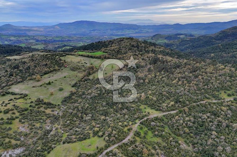 LAPSEKİDE KIRCALARDA İÇİNDE KULÜBESİ OLAN 29.544M² ARAZİ