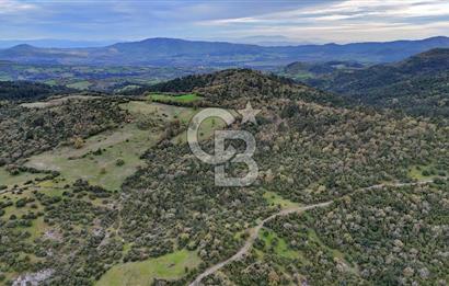 LAPSEKİDE KIRCALARDA İÇİNDE KULÜBESİ OLAN 29.544M² ARAZİ