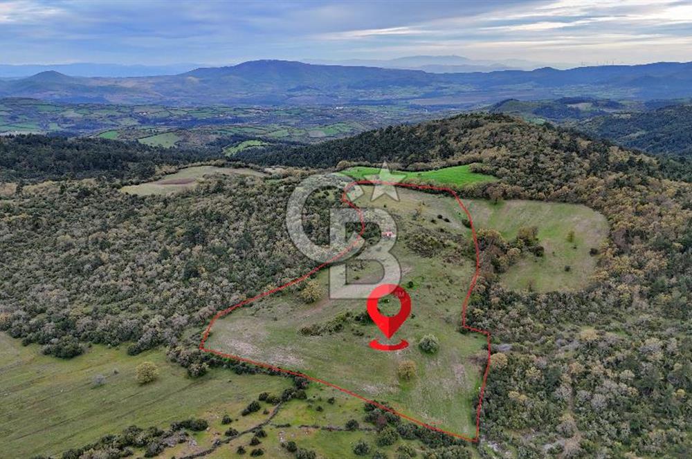 LAPSEKİDE KIRCALARDA İÇİNDE KULÜBESİ OLAN 29.544M² ARAZİ