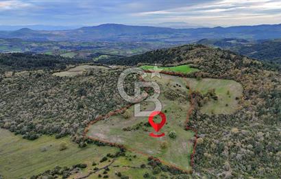 LAPSEKİDE KIRCALARDA İÇİNDE KULÜBESİ OLAN 29.544M² ARAZİ