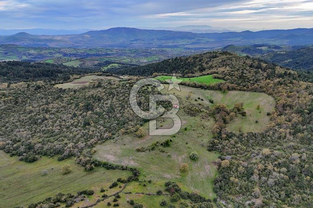 LAPSEKİDE KIRCALARDA İÇİNDE KULÜBESİ OLAN 29.544M² ARAZİ