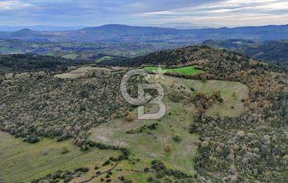 LAPSEKİDE KIRCALARDA İÇİNDE KULÜBESİ OLAN 29.544M² ARAZİ