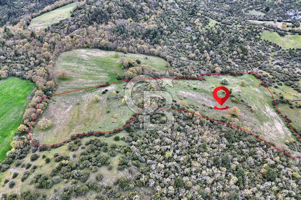 LAPSEKİDE KIRCALARDA İÇİNDE KULÜBESİ OLAN 29.544M² ARAZİ
