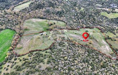 LAPSEKİDE KIRCALARDA İÇİNDE KULÜBESİ OLAN 29.544M² ARAZİ