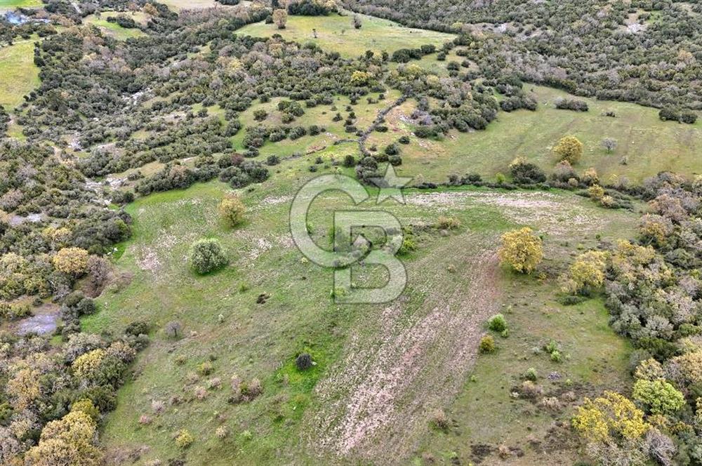 LAPSEKİDE KIRCALARDA İÇİNDE KULÜBESİ OLAN 29.544M² ARAZİ