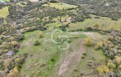 LAPSEKİDE KIRCALARDA İÇİNDE KULÜBESİ OLAN 29.544M² ARAZİ
