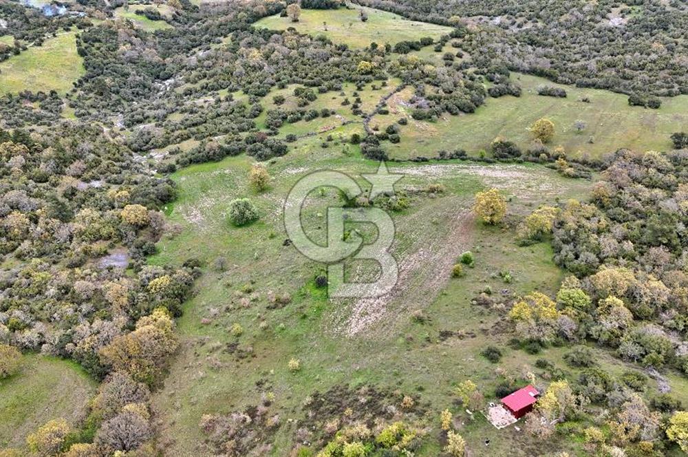 LAPSEKİDE KIRCALARDA İÇİNDE KULÜBESİ OLAN 29.544M² ARAZİ
