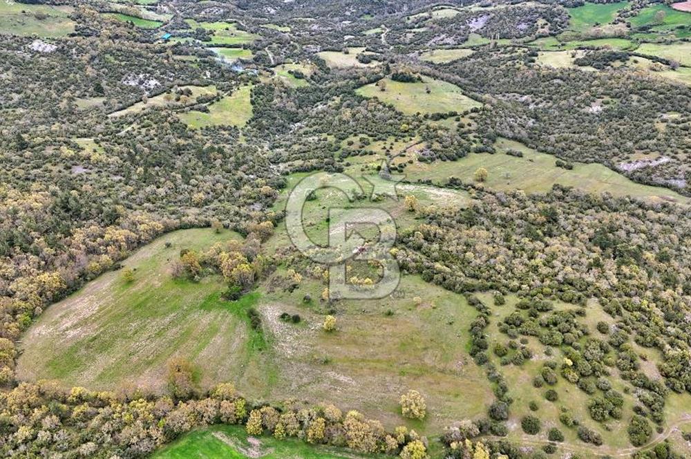 LAPSEKİDE KIRCALARDA İÇİNDE KULÜBESİ OLAN 29.544M² ARAZİ