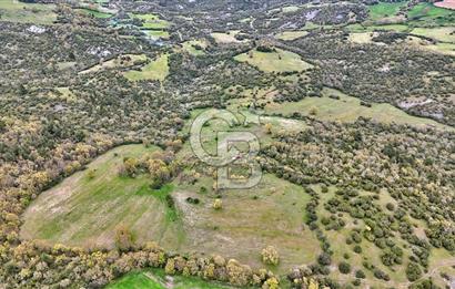 LAPSEKİDE KIRCALARDA İÇİNDE KULÜBESİ OLAN 29.544M² ARAZİ