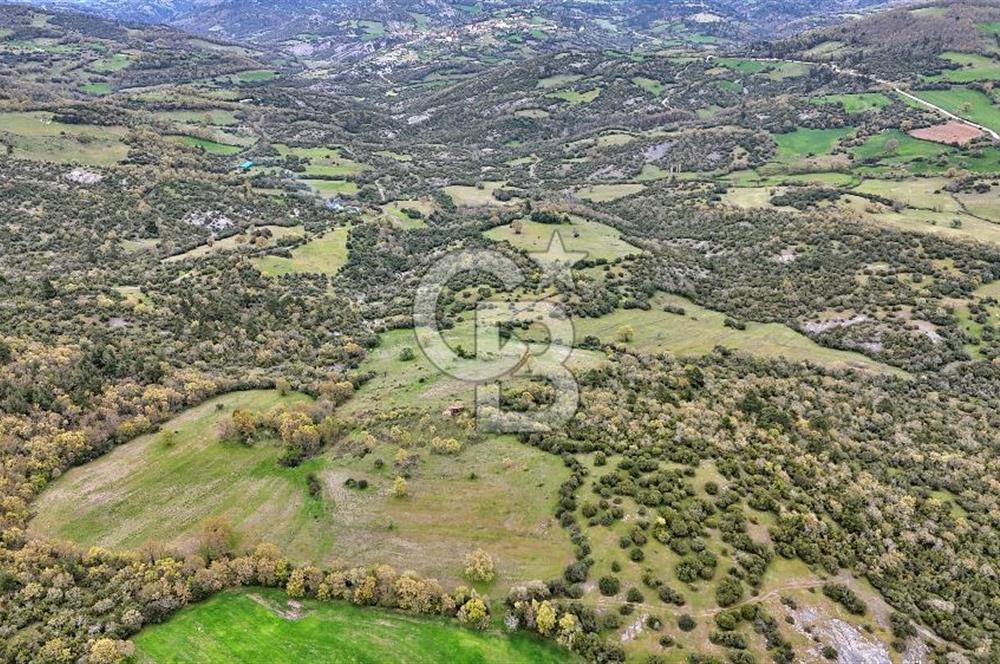 LAPSEKİDE KIRCALARDA İÇİNDE KULÜBESİ OLAN 29.544M² ARAZİ