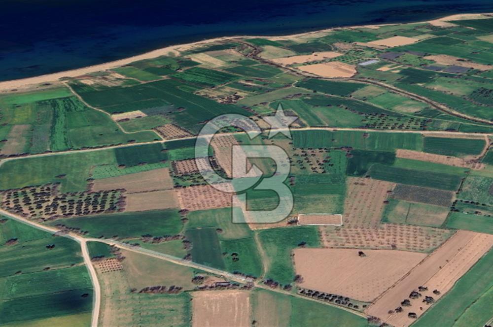 AYVACIK KÖSEDERE KÖYÜNDE OVADA DÜZ 1058 M² TARLA