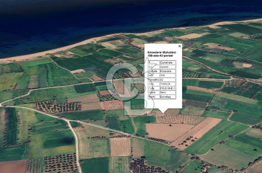 AYVACIK KÖSEDERE KÖYÜNDE OVADA DÜZ 1058 M² TARLA