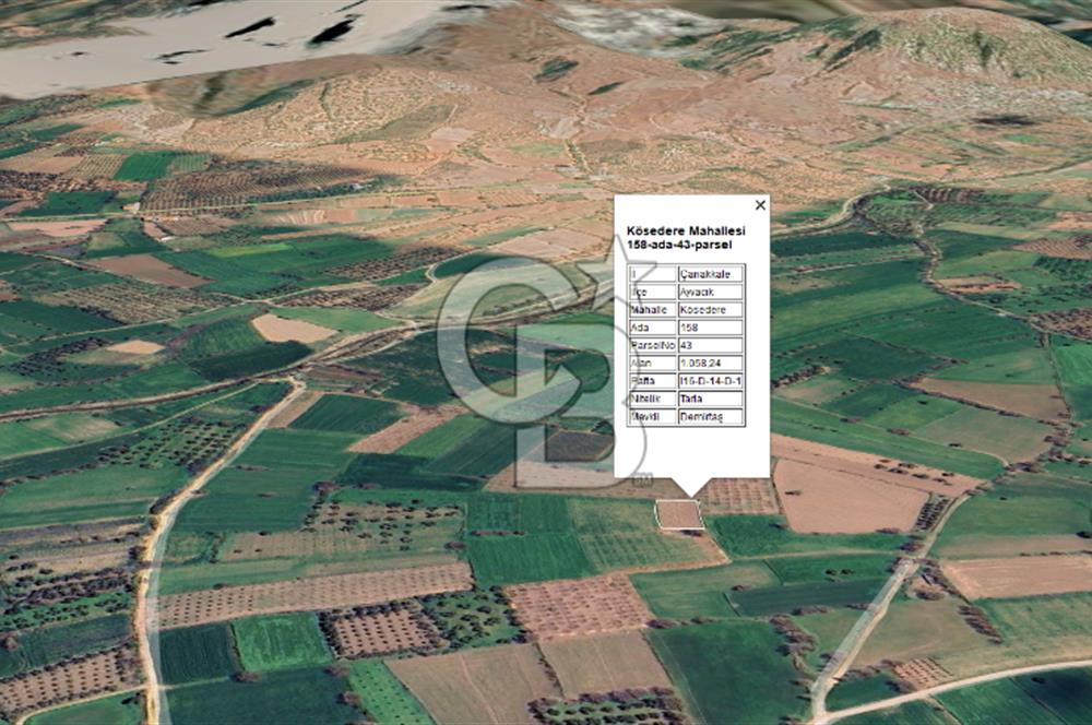 AYVACIK KÖSEDERE KÖYÜNDE OVADA DÜZ 1058 M² TARLA