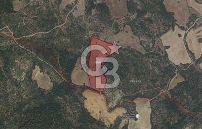 LAPSEKİDE KIRCALARDA İÇİNDE KULÜBESİ OLAN 29.544M² ARAZİ