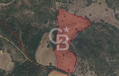 LAPSEKİDE KIRCALARDA İÇİNDE KULÜBESİ OLAN 29.544M² ARAZİ