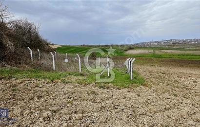 Haraçıda çevrili 215 m2