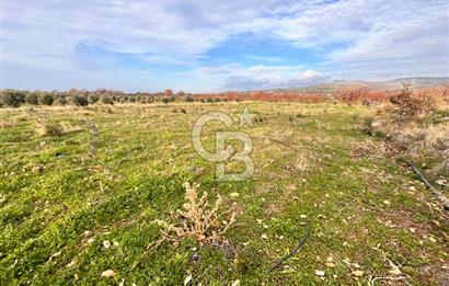 AYVACIK KÖSEDERE KÖYÜNDE OVADA DÜZ 1058 M² TARLA