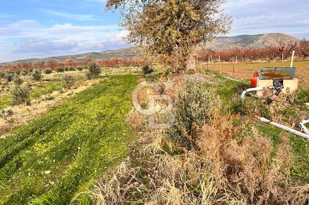 AYVACIK KÖSEDERE KÖYÜNDE OVADA DÜZ 1058 M² TARLA