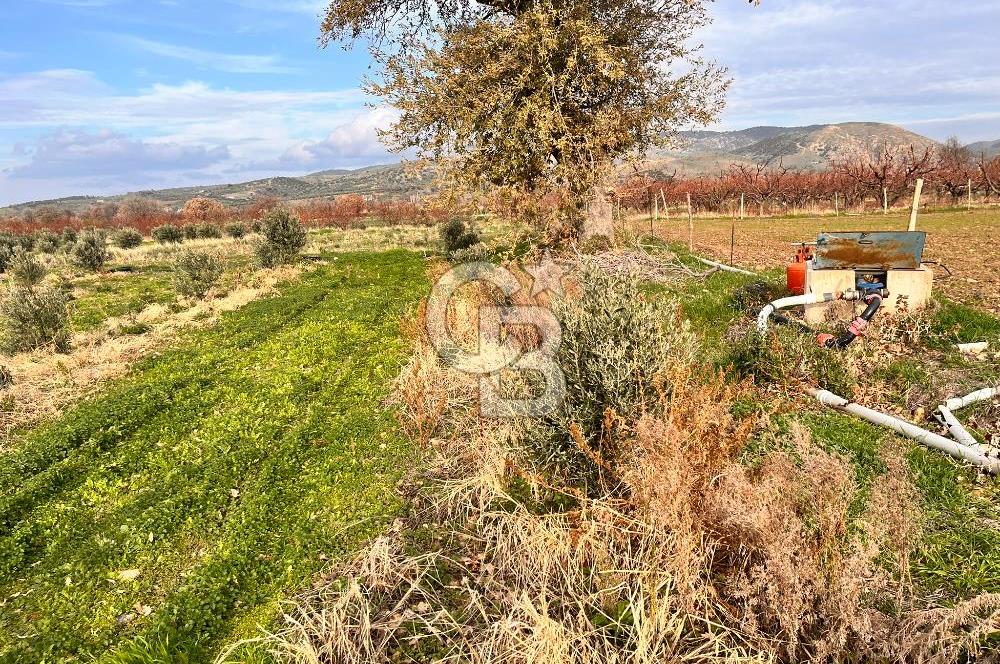 AYVACIK KÖSEDERE KÖYÜNDE OVADA DÜZ 1058 M² TARLA