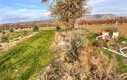 AYVACIK KÖSEDERE KÖYÜNDE OVADA DÜZ 1058 M² TARLA