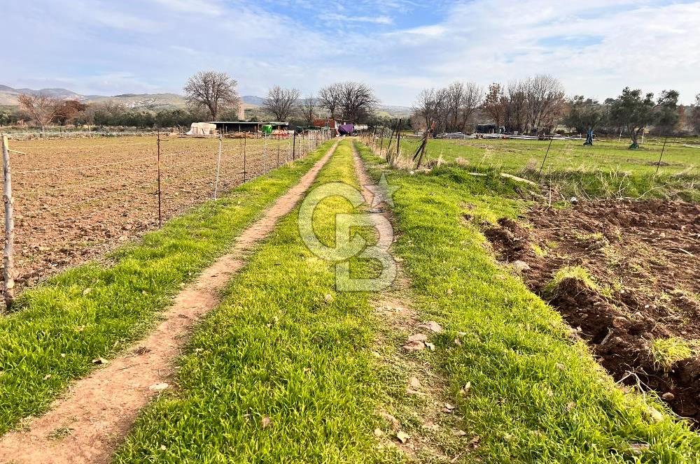 AYVACIK KÖSEDERE KÖYÜNDE OVADA DÜZ 1058 M² TARLA