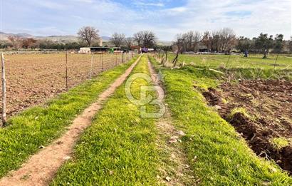 AYVACIK KÖSEDERE KÖYÜNDE OVADA DÜZ 1058 M² TARLA
