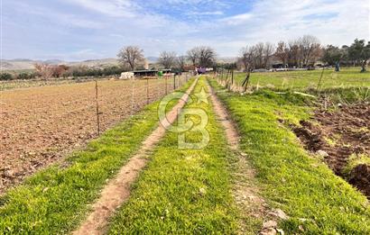 AYVACIK KÖSEDERE KÖYÜNDE OVADA DÜZ 1058 M² TARLA