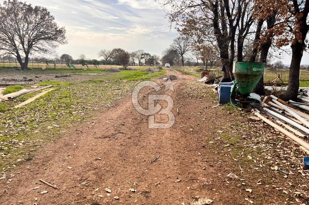 AYVACIK KÖSEDERE KÖYÜNDE OVADA DÜZ 1058 M² TARLA