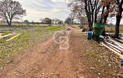 AYVACIK KÖSEDERE KÖYÜNDE OVADA DÜZ 1058 M² TARLA