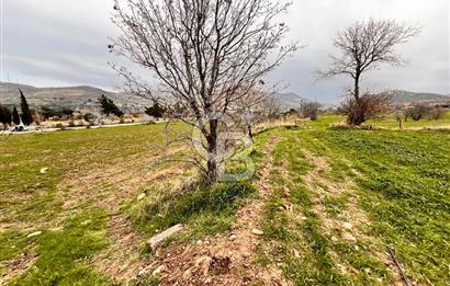 KÖSEDERE KÖYÜNDE ASFALTA 40 METRE DENİZ GÖREN TARLA