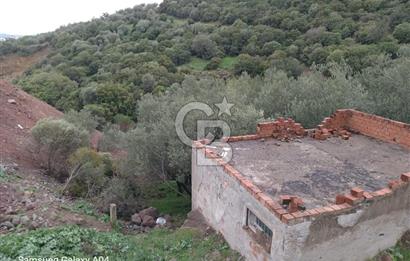 DİKİLİ ÇANDARLIDA DENİZ MANZARALI SATILIK ZEYTİNLİK
