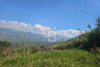 MANZARALI İNCİRLİK VE TARLA