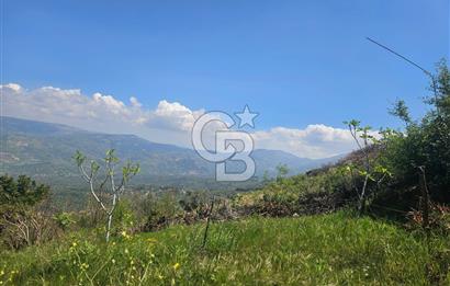 MANZARALI İNCİRLİK VE TARLA