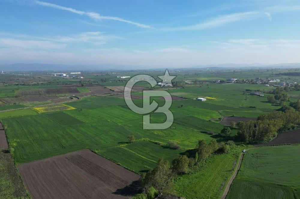 BİGA BALIKLIÇEŞME'DE 7.5 DÖNÜMLÜK YATIRIM FIRSATI