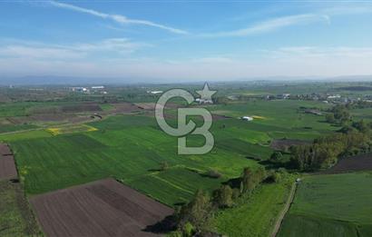 BİGA BALIKLIÇEŞME'DE 7.5 DÖNÜMLÜK YATIRIM FIRSATI