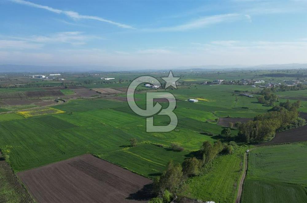 BİGA BALIKLIÇEŞME'DE 7.5 DÖNÜMLÜK YATIRIM FIRSATI