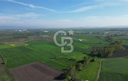 BİGA BALIKLIÇEŞME'DE 7.5 DÖNÜMLÜK YATIRIM FIRSATI