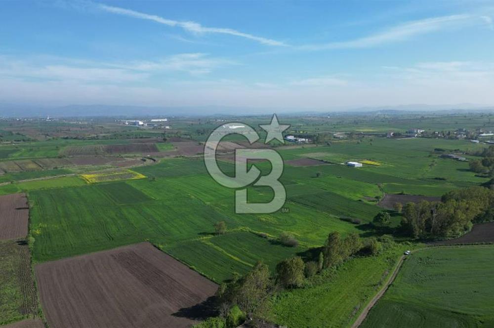 BİGA BALIKLIÇEŞME'DE 7.5 DÖNÜMLÜK YATIRIM FIRSATI